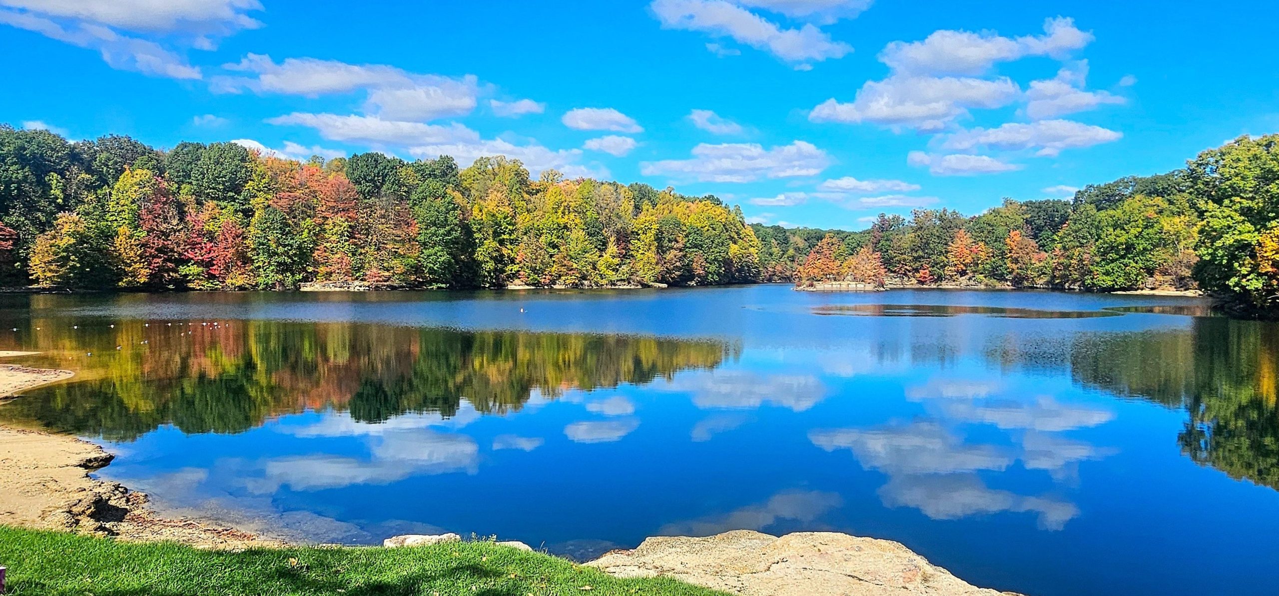 Fifty years in photographs. — the wooded grounds of Nelson Ledges Quarry Park