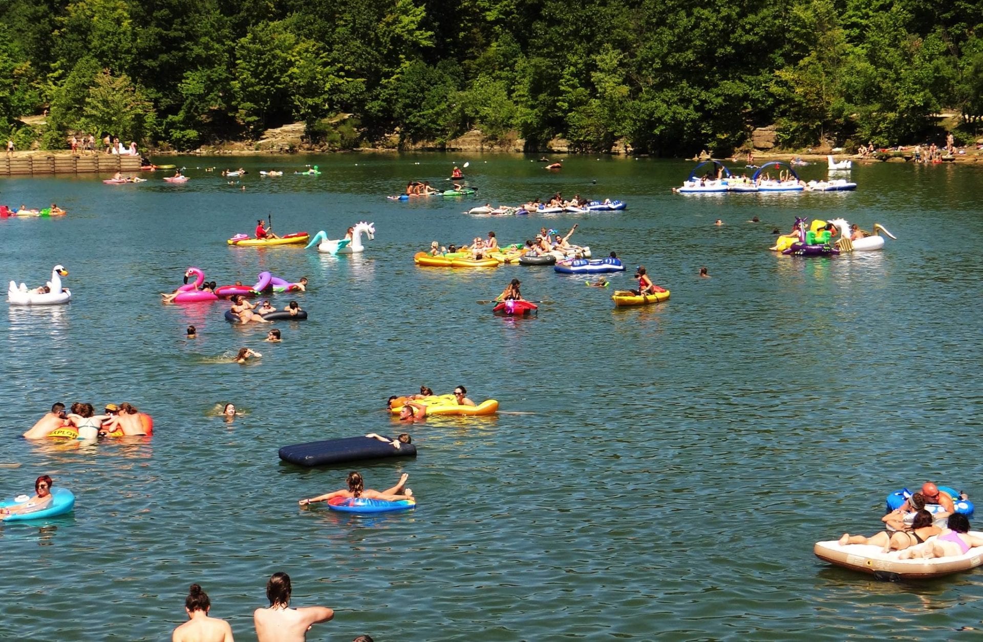 Pick your spot. — the wooded grounds of Nelson Ledges Quarry Park